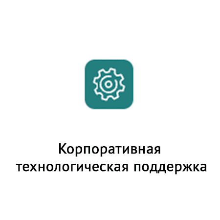  Корпоративная технологическая поддержка 